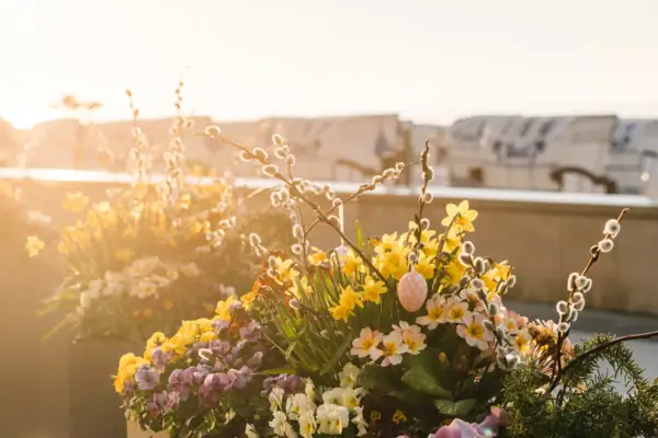 Eine Gruppe von Blumen mit einem weißen Ei in ihrer Mitte.