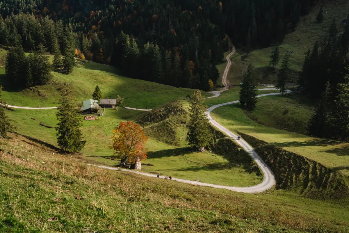Fietspad in Ruhpolding Een kronkelige weg in een grasgebied met bomen en een huis.