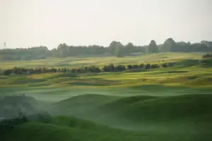 Groen veld met bomen en een blauwe lucht