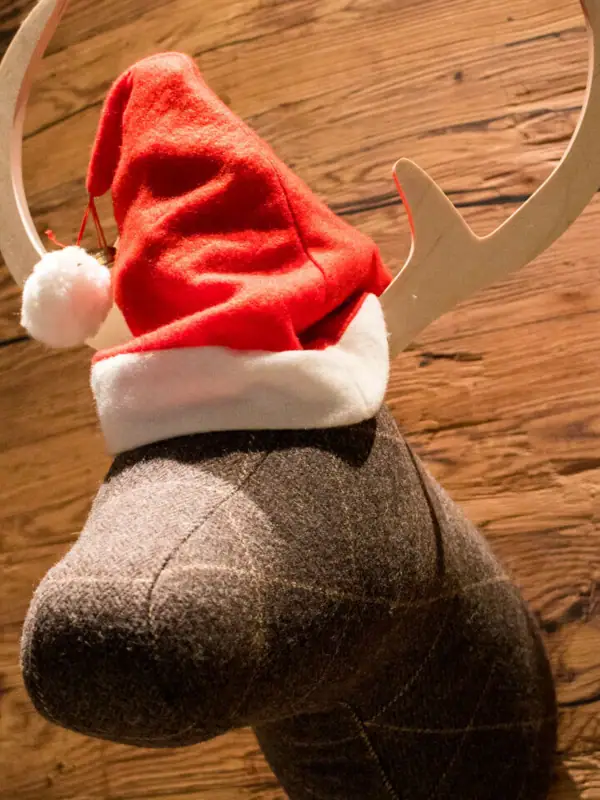 Kerst eland Een opgezette elandkop met kerstmuts aan de muur.