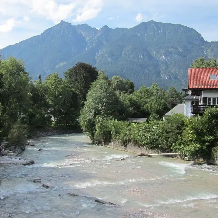 Een rivier stroomt door een bos.