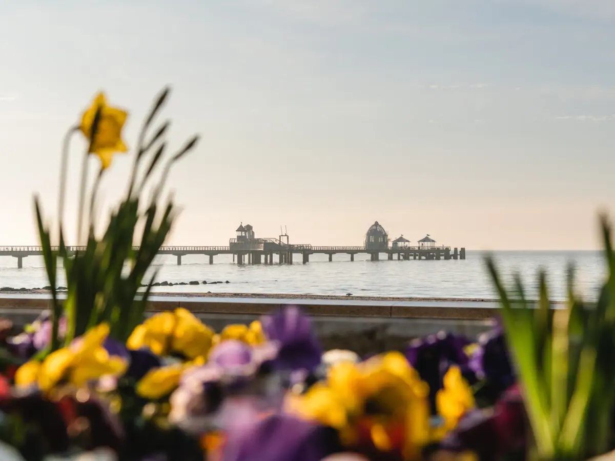 Een pier met een brug in het water onder de open hemel.