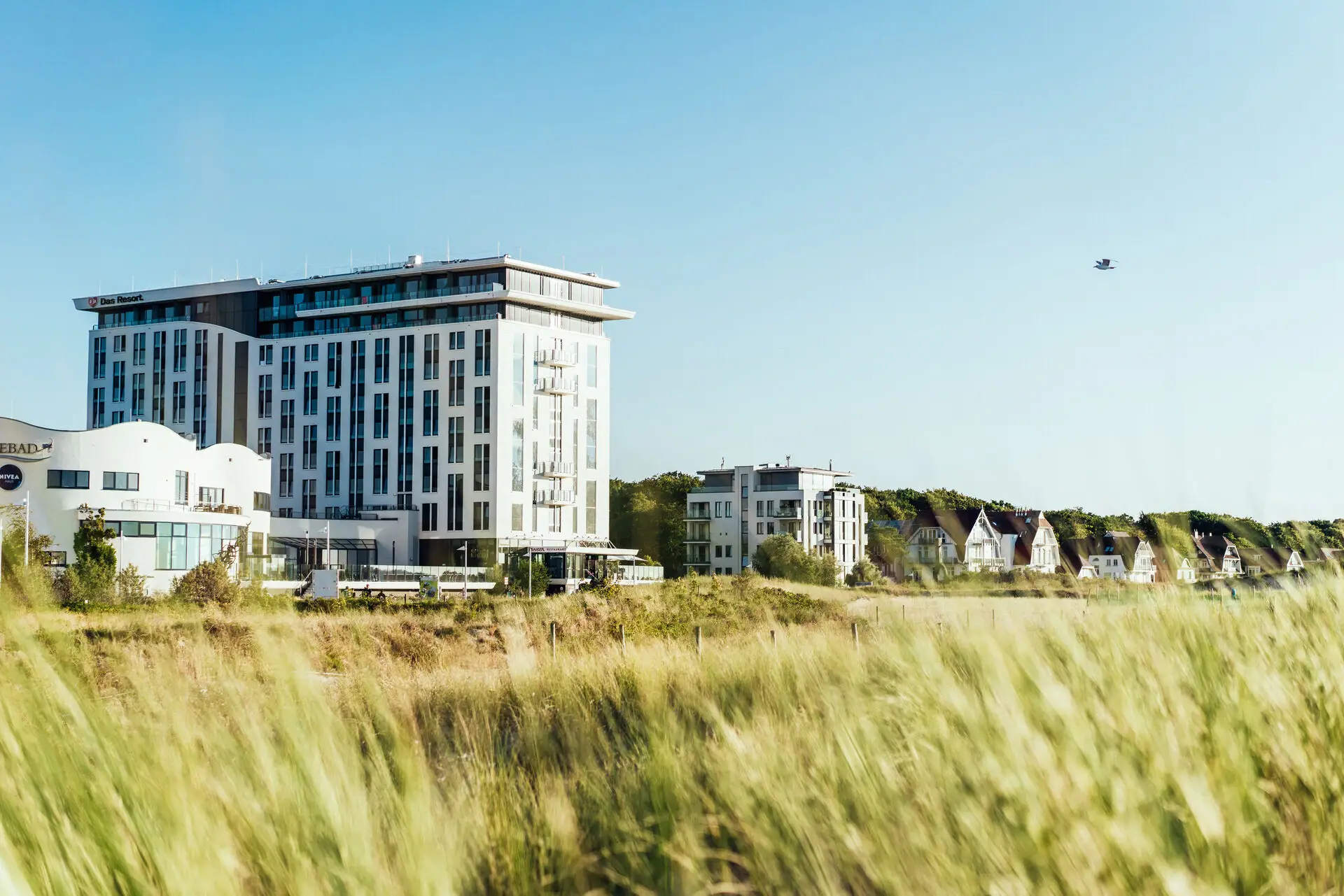 Ein hohes Grasfeld mit dem aja Warnemünde im Hintergrund.