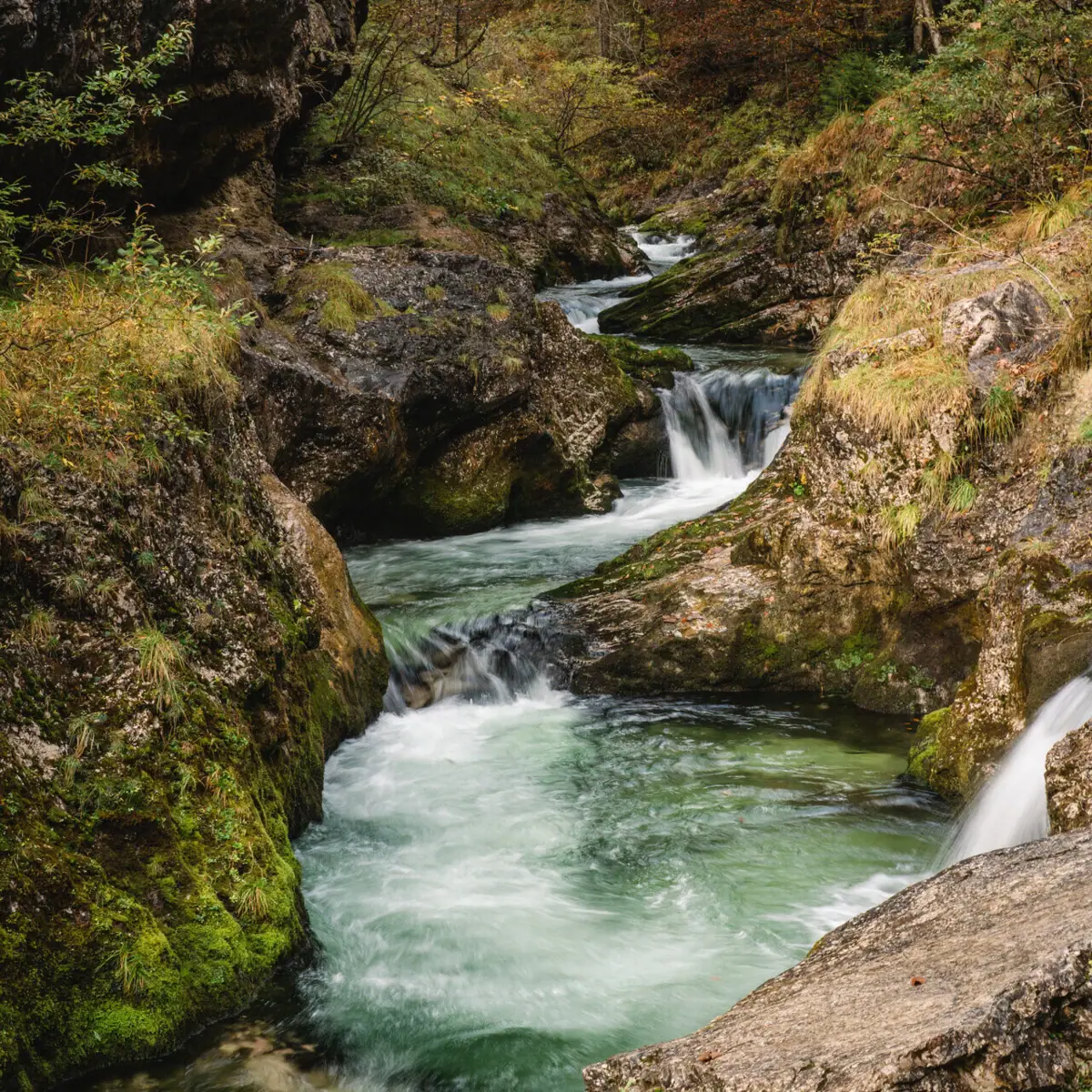 Een rivier die door de Weißbachkloof stroomt.