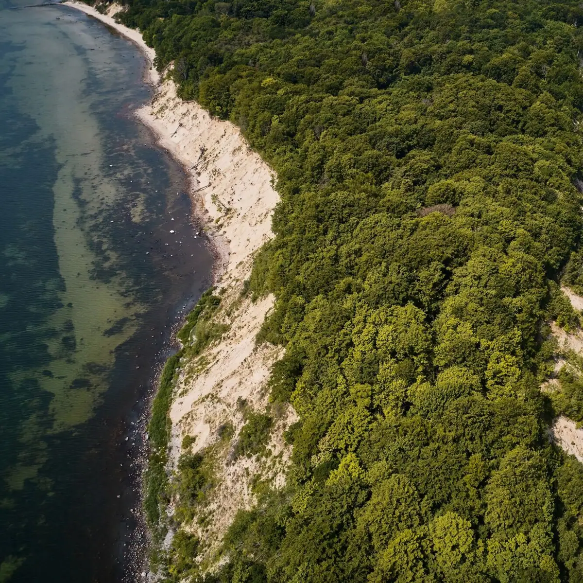 Luchtfoto van Rügen Luchtfoto van een strand met naburige bomen.