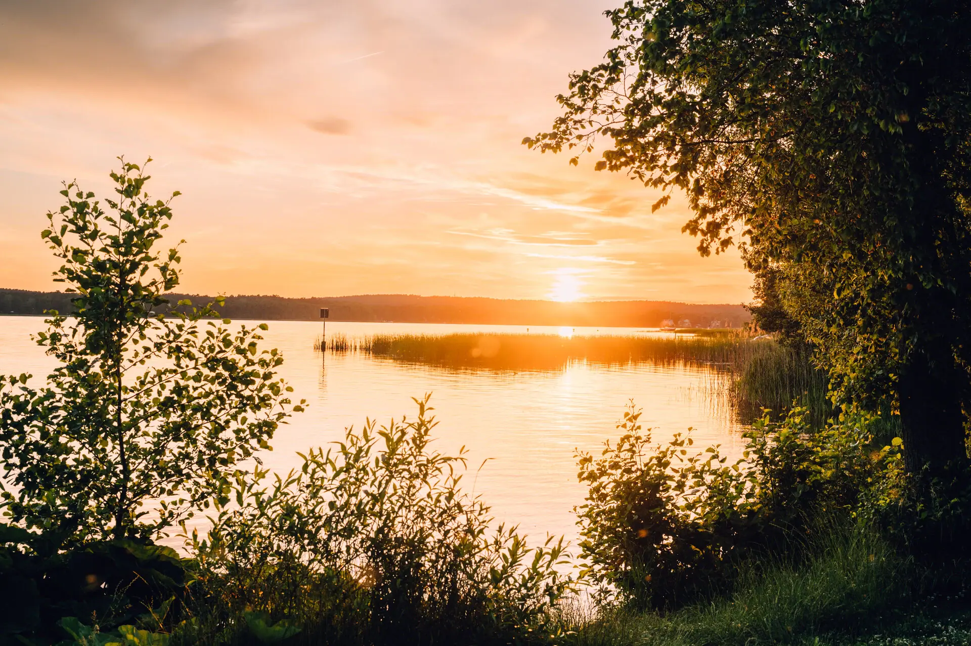 Zonsondergang over een meer met bomen op de voorgrond.