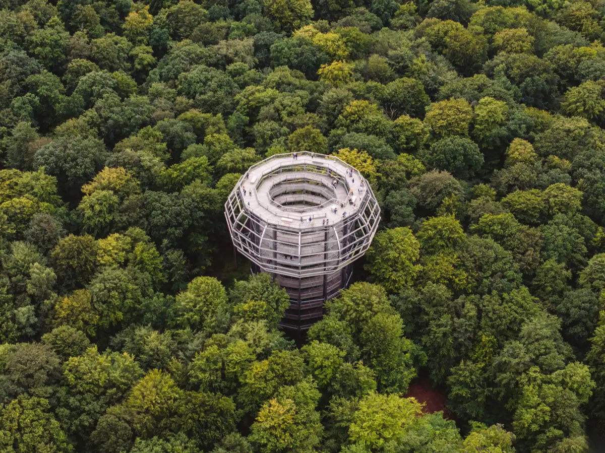 Een toren midden in een bos.