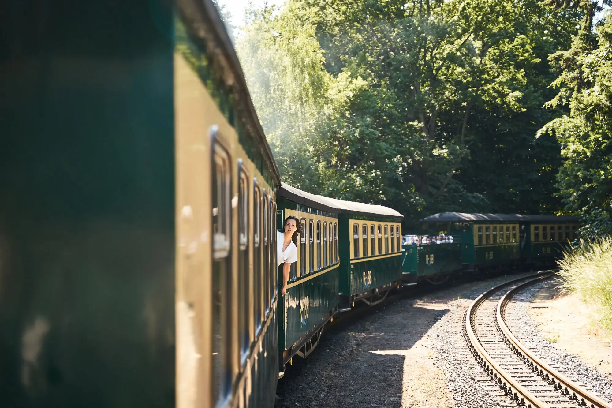Roland racen De historische smalspoortrein "Rasender Roland" rijdt door een groen boslandschap op Rügen; een vrouw leunt glimlachend uit het raam en geniet van de rit.
