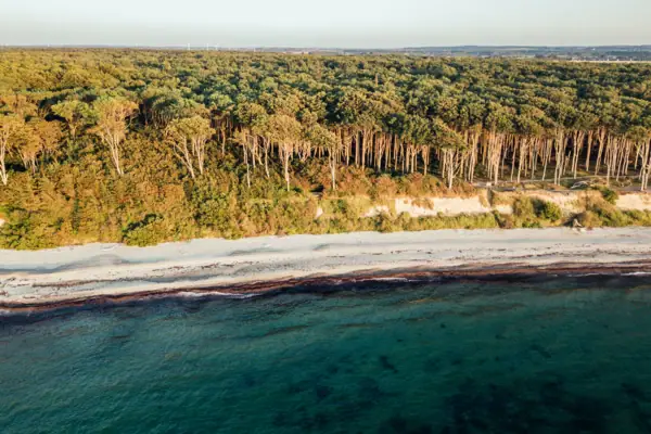 Strand met bomen en water op de voorgrond.