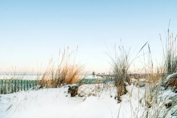 Besneeuwde grond met hoog gras en een pier op de achtergrond.