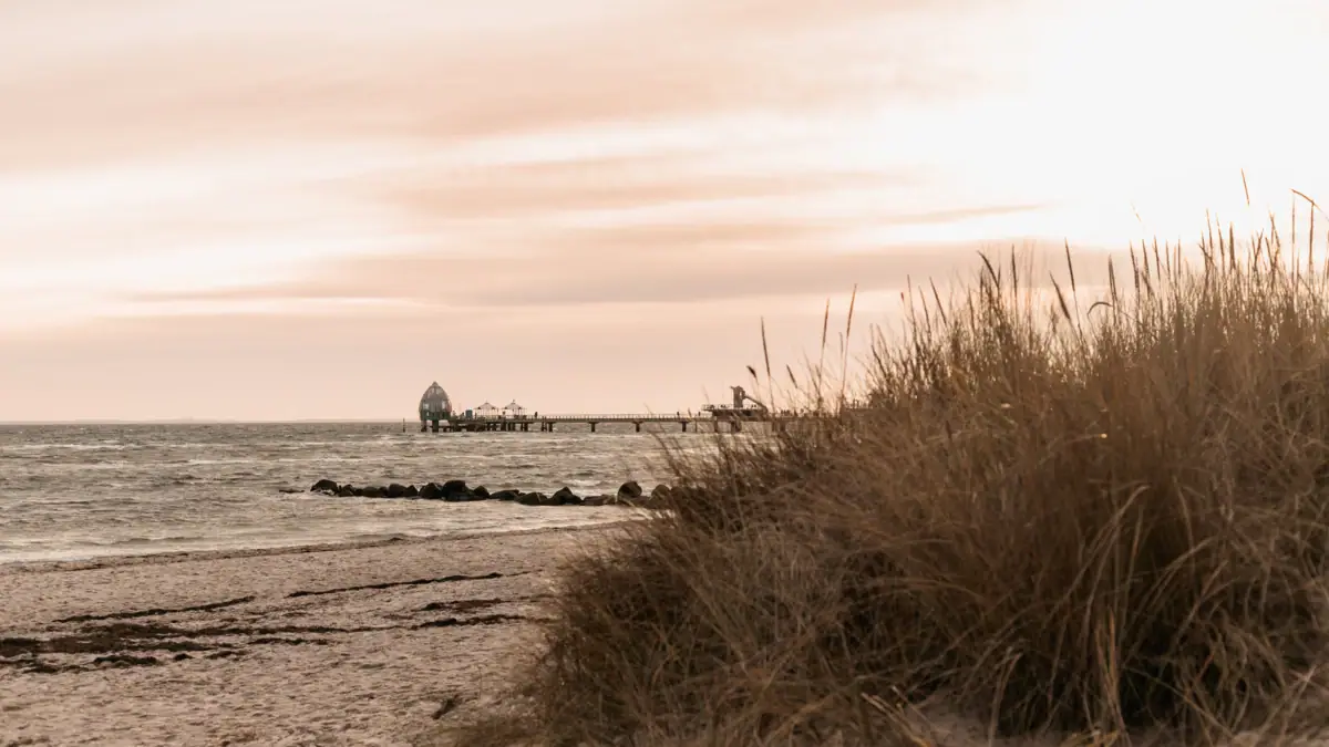 Strand met een pier en gras op de voorgrond.