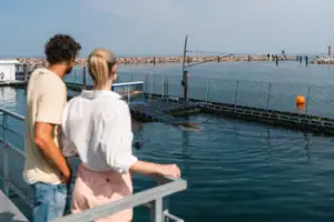 Eine Gruppe von Menschen betrachtet eine Robbe im Wasser.