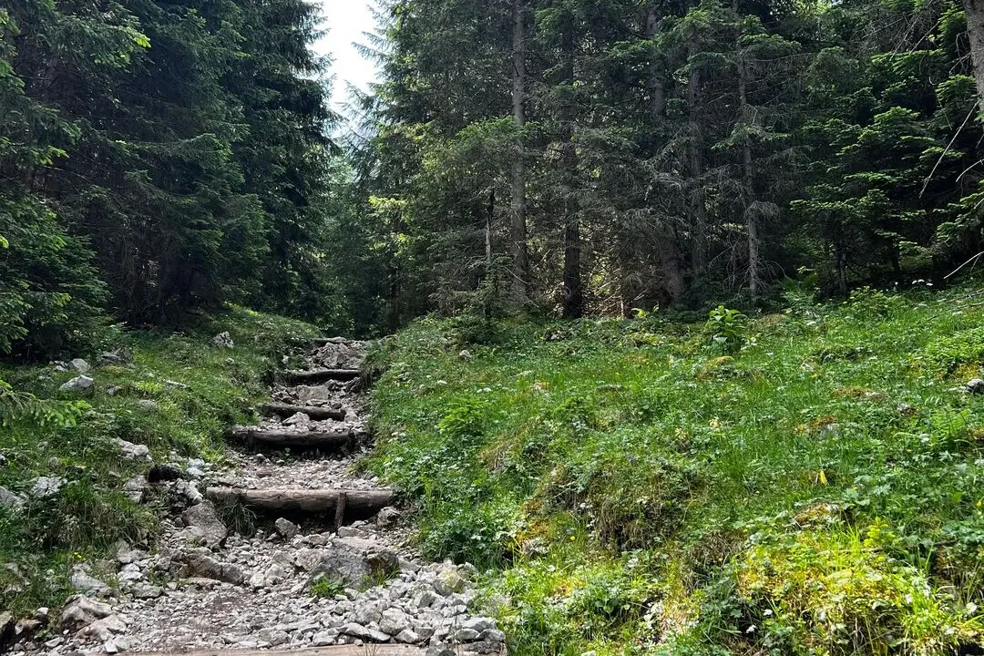 Hardlopen en wandelen Stenen treden leiden naar een grasheuvel met bomen.