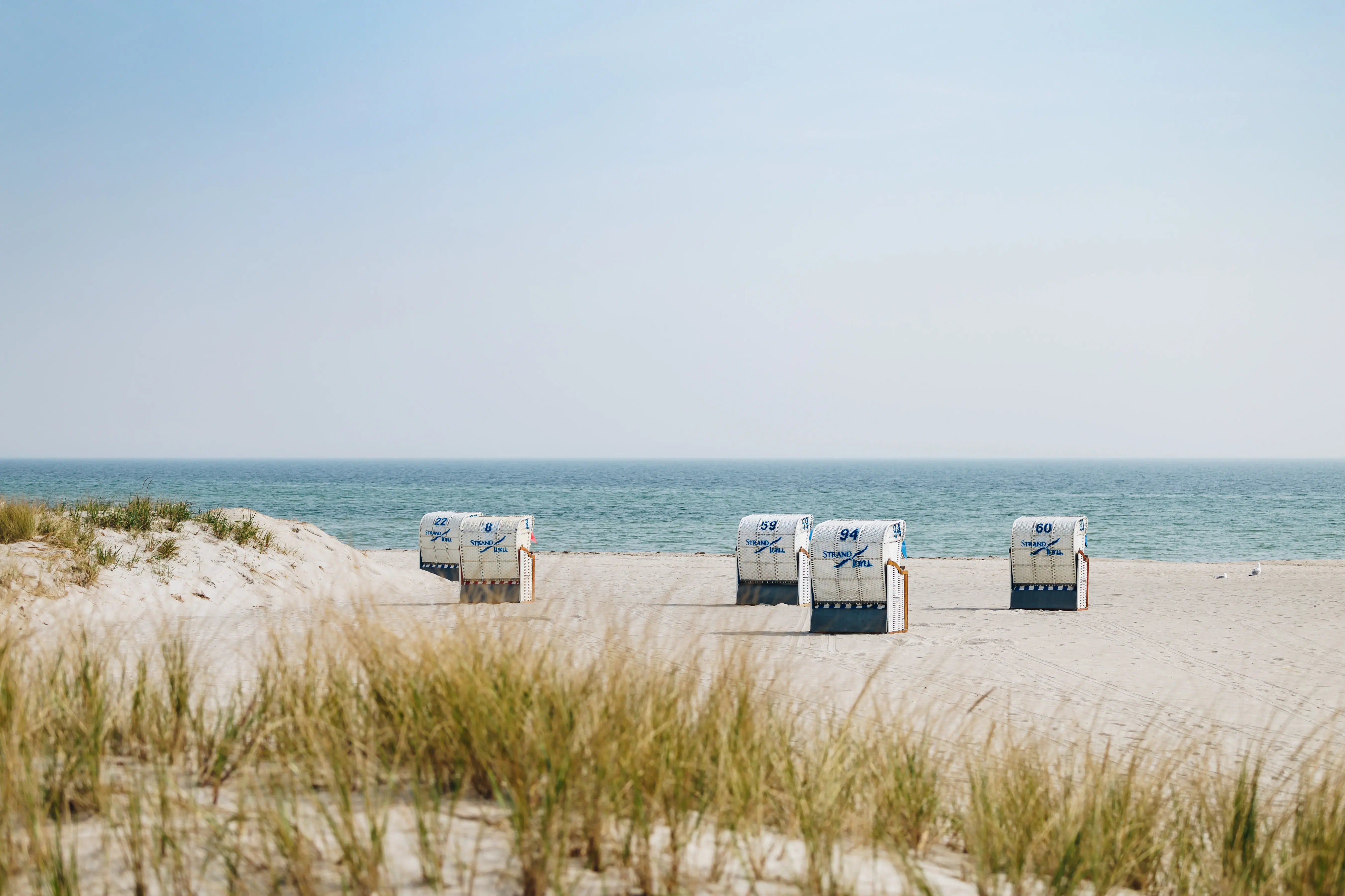 Een groep witte strandstoelen op het strand.