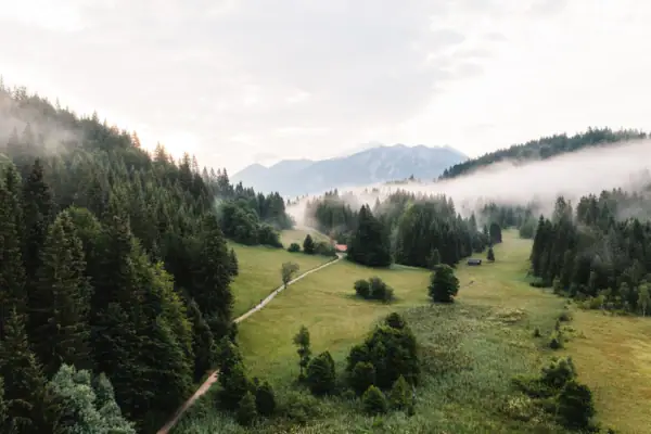 Garmisch landschap Landschap met bomen en mist.