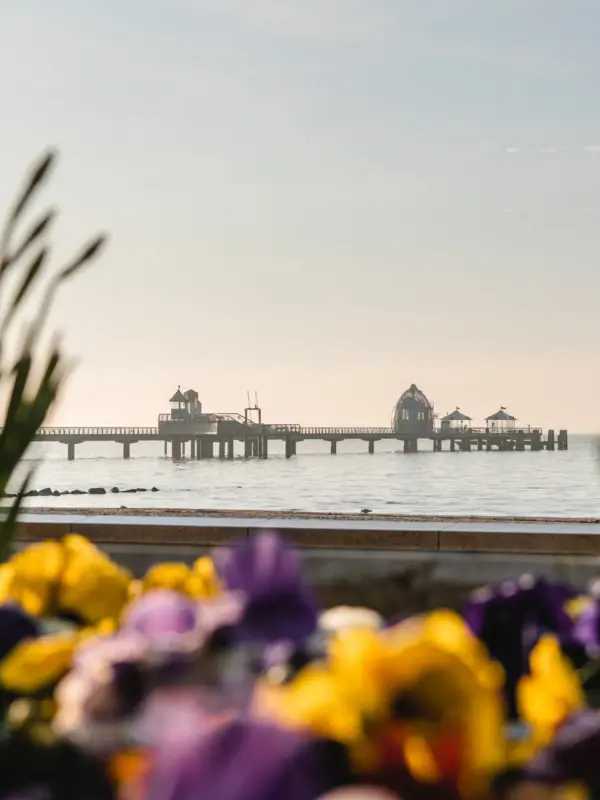 Ein Pier mit einer Brücke im Wasser unter freiem Himmel.