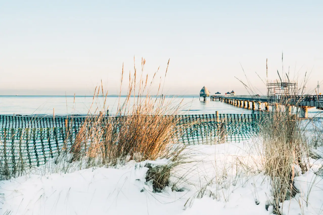 Besneeuwd strand met steiger en gras in de winter.