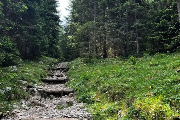 Hardlopen en wandelen Stenen treden leiden naar een grasheuvel met bomen.