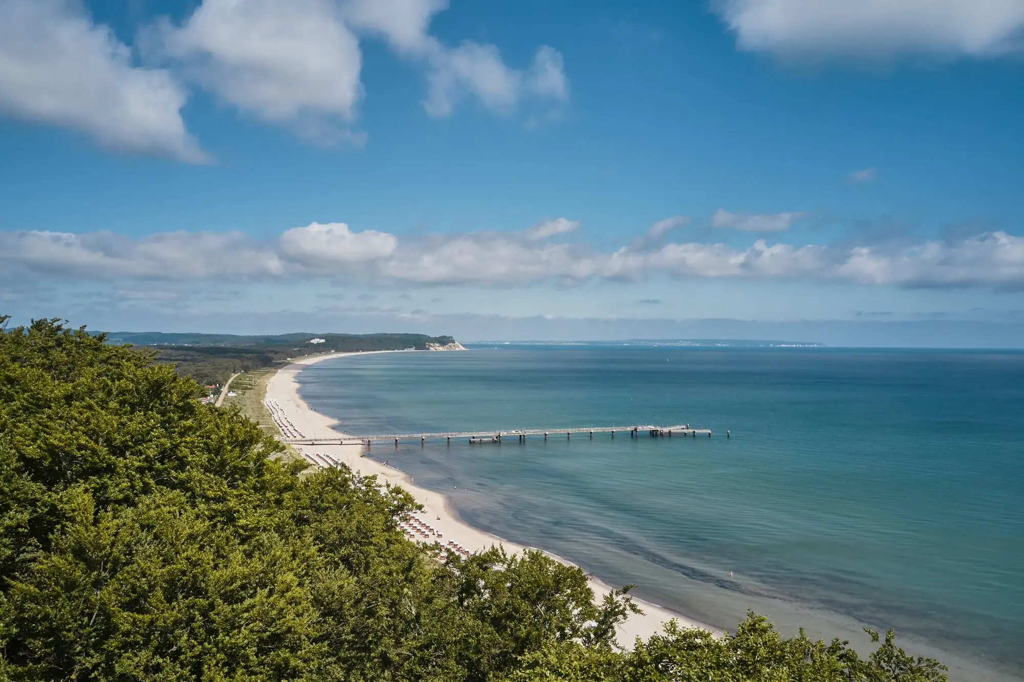 Een strand met een pier en bomen.