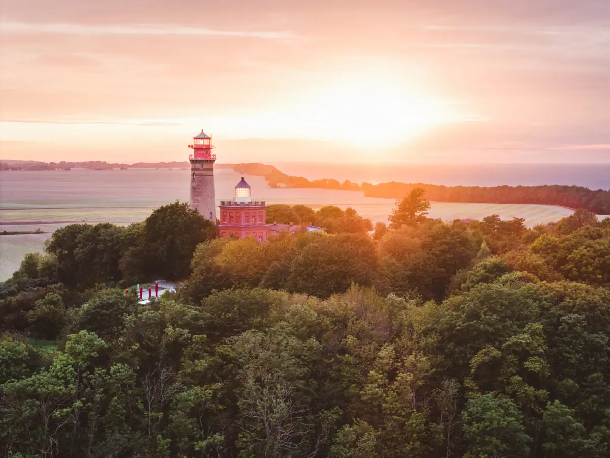 Vuurtoren midden in een bos
