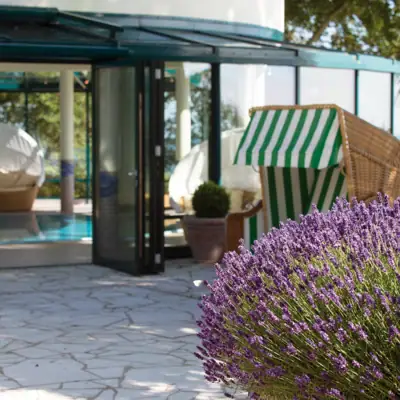 Paarse bloem naast een zwembad