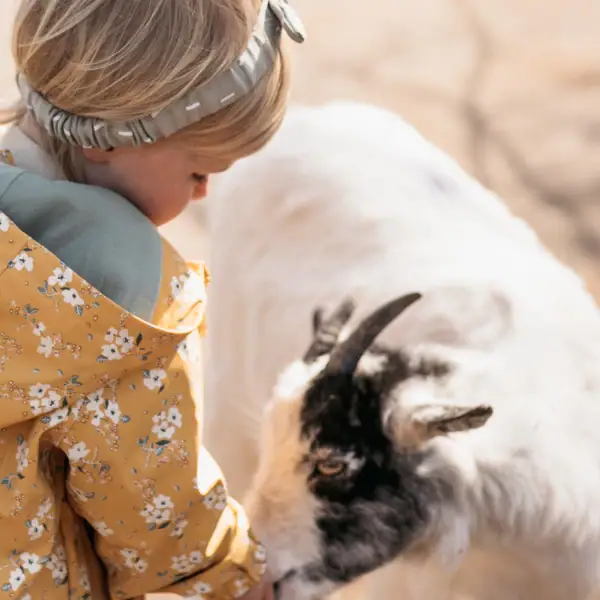 Een kind aait een geit.