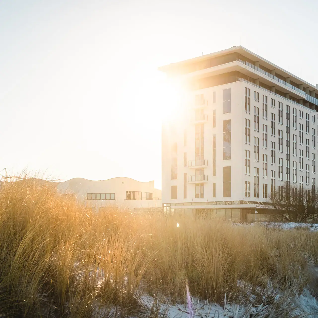 Hoog gras voor een buitengebouw onder een heldere hemel.