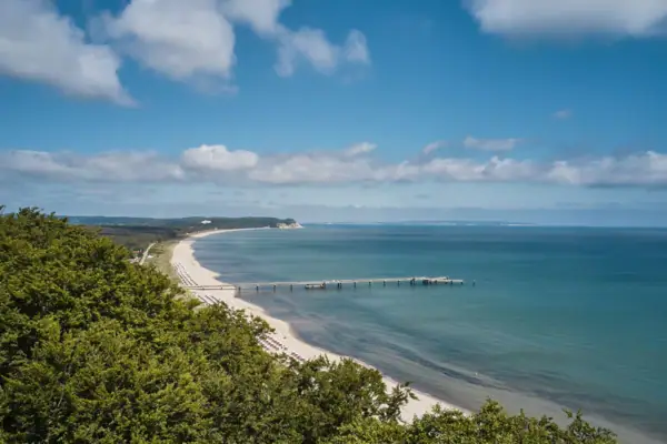 Een strand met een pier en bomen.
