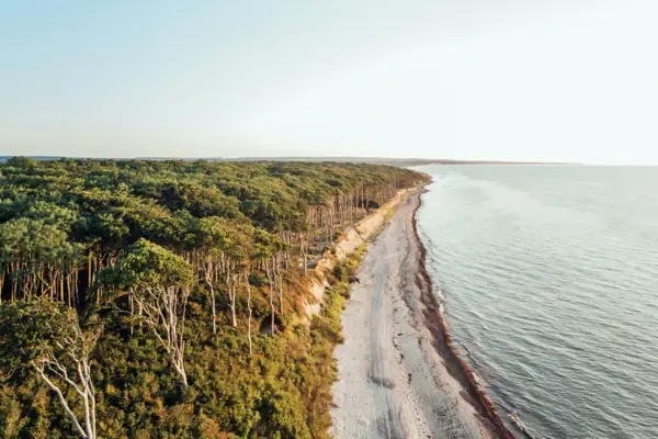 Strand met bomen en water op de voorgrond.