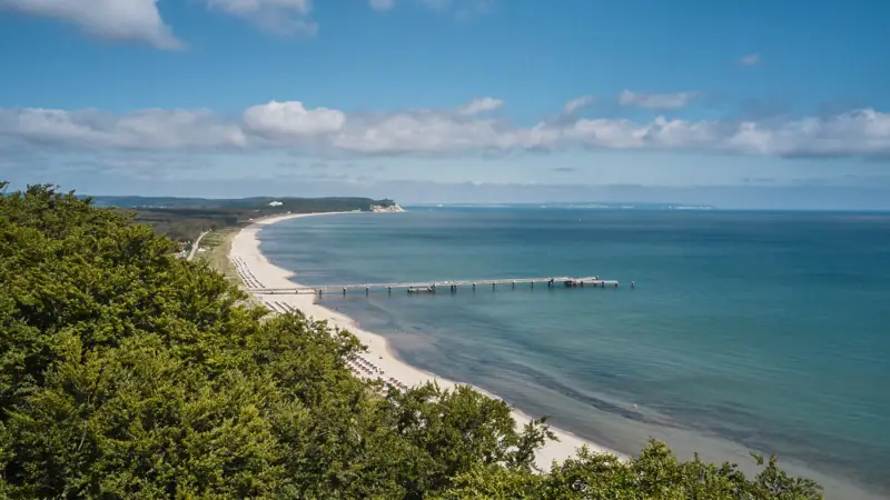 Een strand met een pier en bomen.