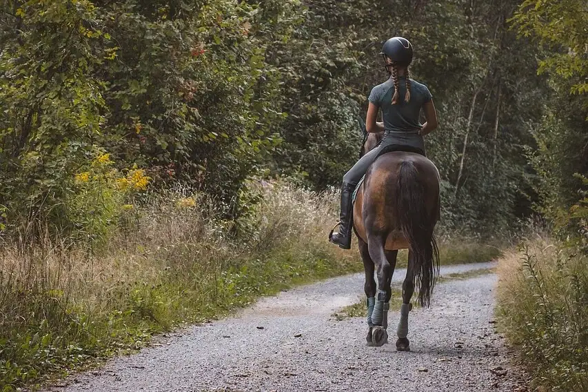 Een vrouw rijdt op een paard op een pad.