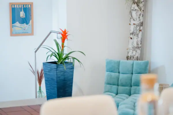 Blauwe bank met een plant in een blauwe pot.