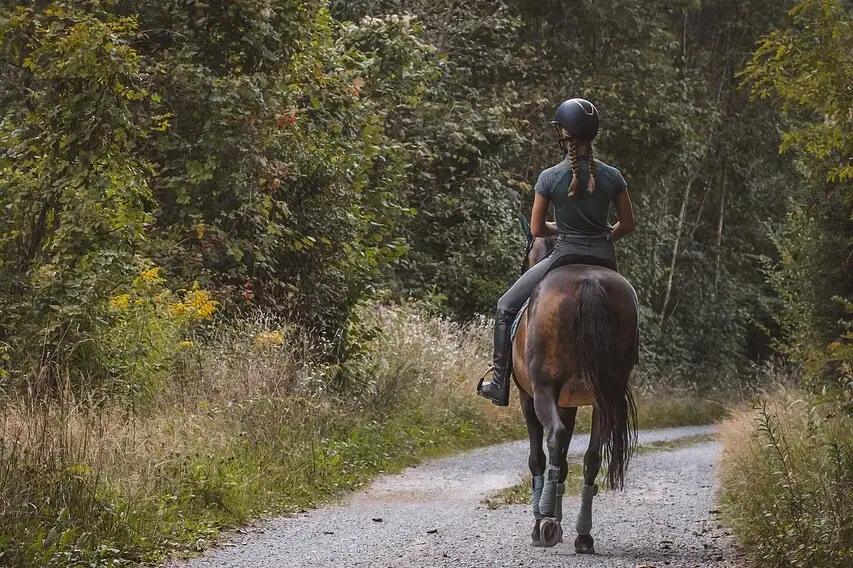 Een vrouw rijdt op een paard op een pad.