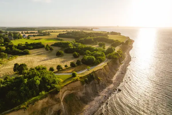 Luchtfoto van een strand met een grasveld en bomen en een steile oever.
