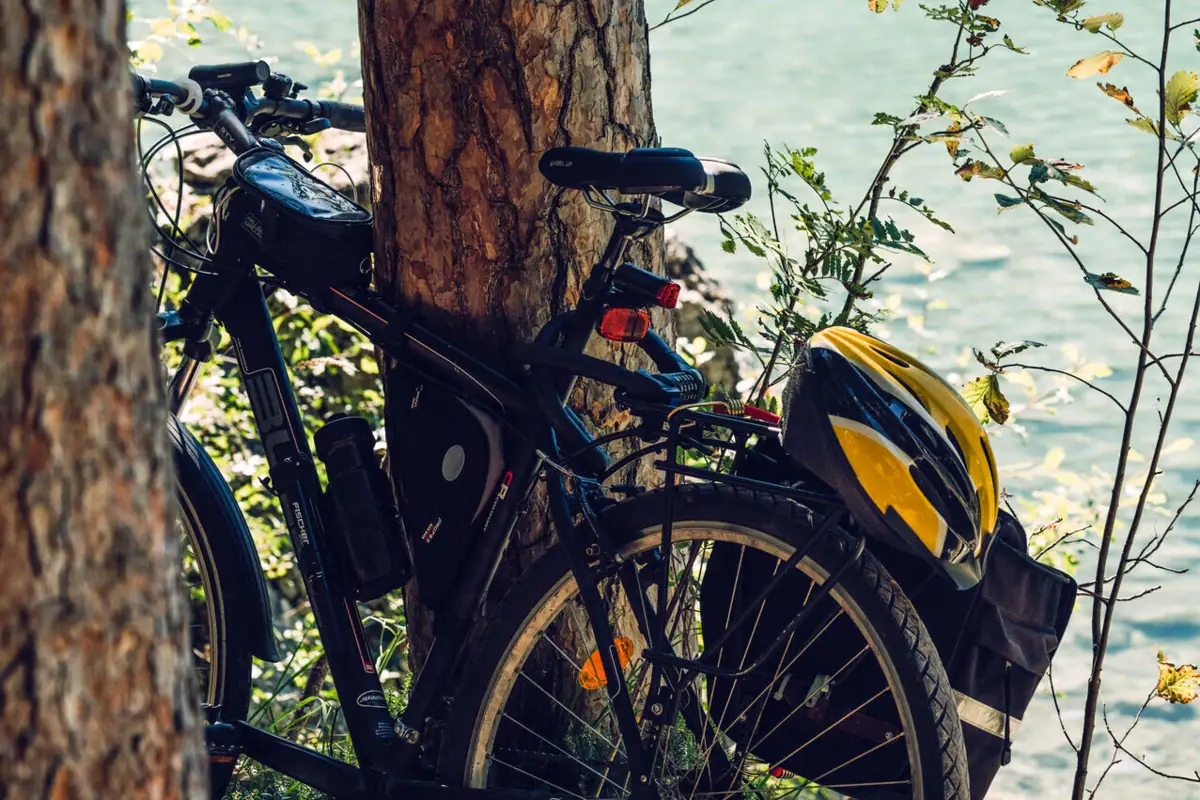 Fietsen Eibsee Een fiets leunt tegen een boom.
