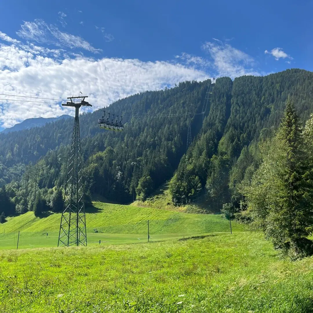 Karwendel bergtrein aan het Achenmeer Elektriciteitskabel in een grasveld met bomen en blauwe lucht.
