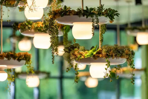 Verlichte plantenopstelling met verschillende lichtbronnen.