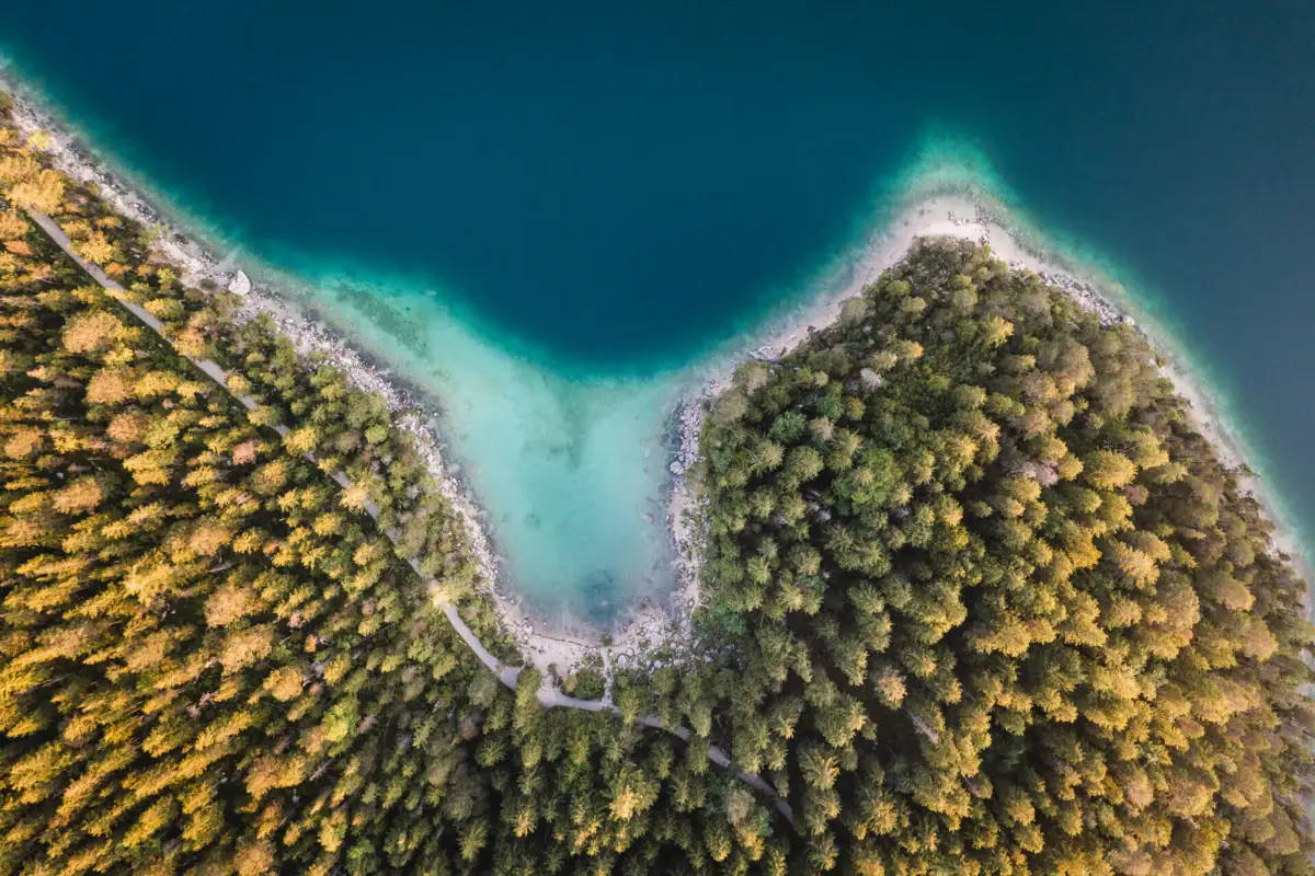 Eibsee De Eibsee, omgeven door bomen.