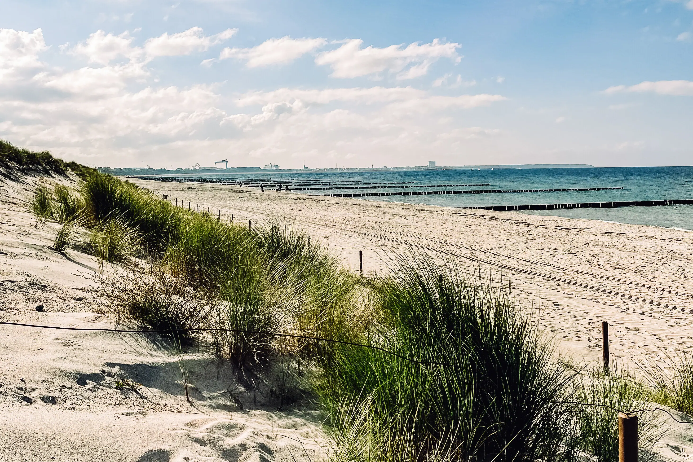 Zandstrand met planten en water op de achtergrond