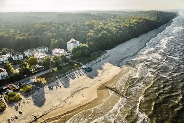 Luchtfoto van een strand met bomen en gebouwen op de achtergrond.