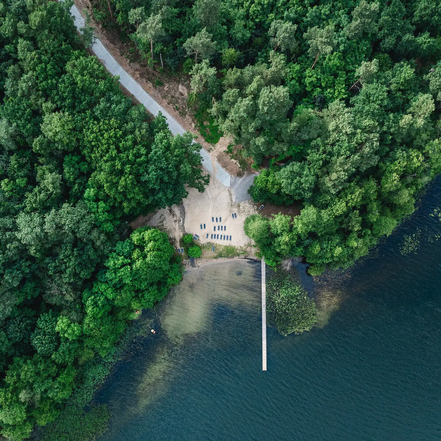 Aanbiedingen bij aja Bad Saarow Een brug over een waterlichaam met bomen.