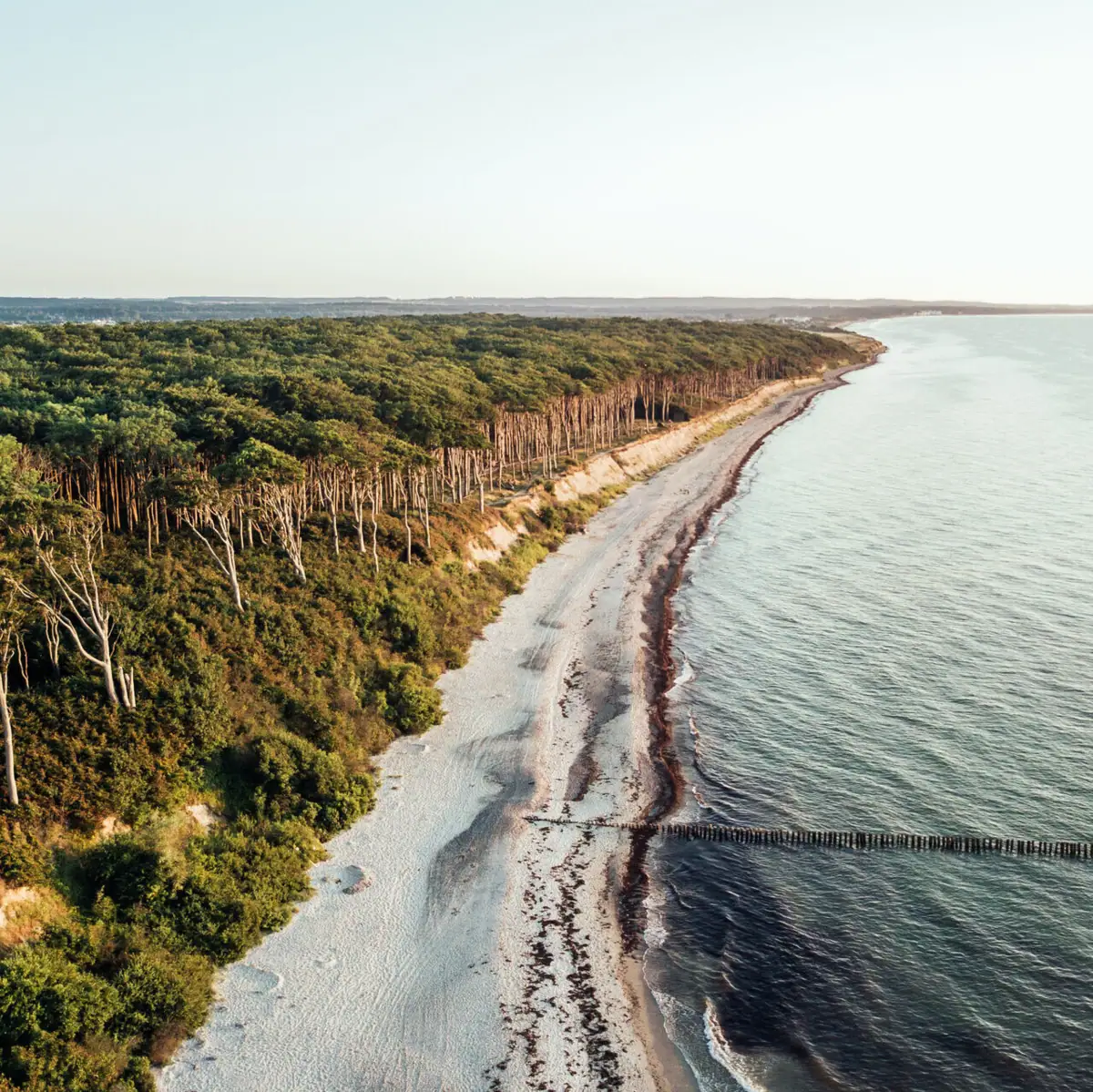 Strand met bomen en water op de voorgrond.