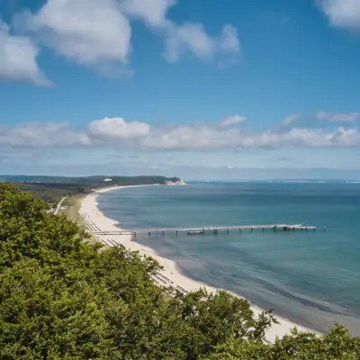 Een strand met een pier en bomen.