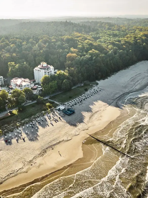 Luchtfoto van een strand met bomen en gebouwen.