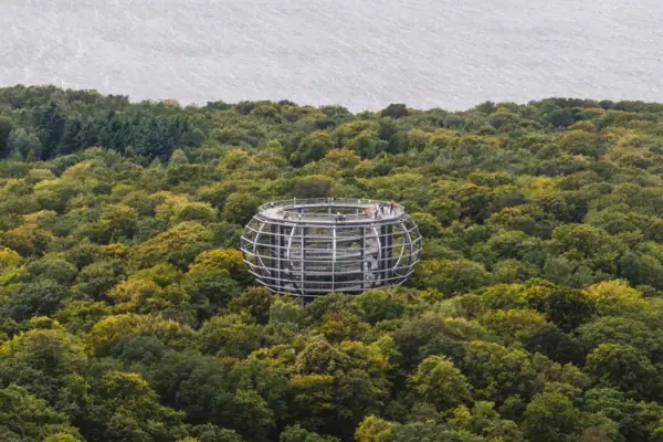 Structuur midden in een bos met bomen en planten.