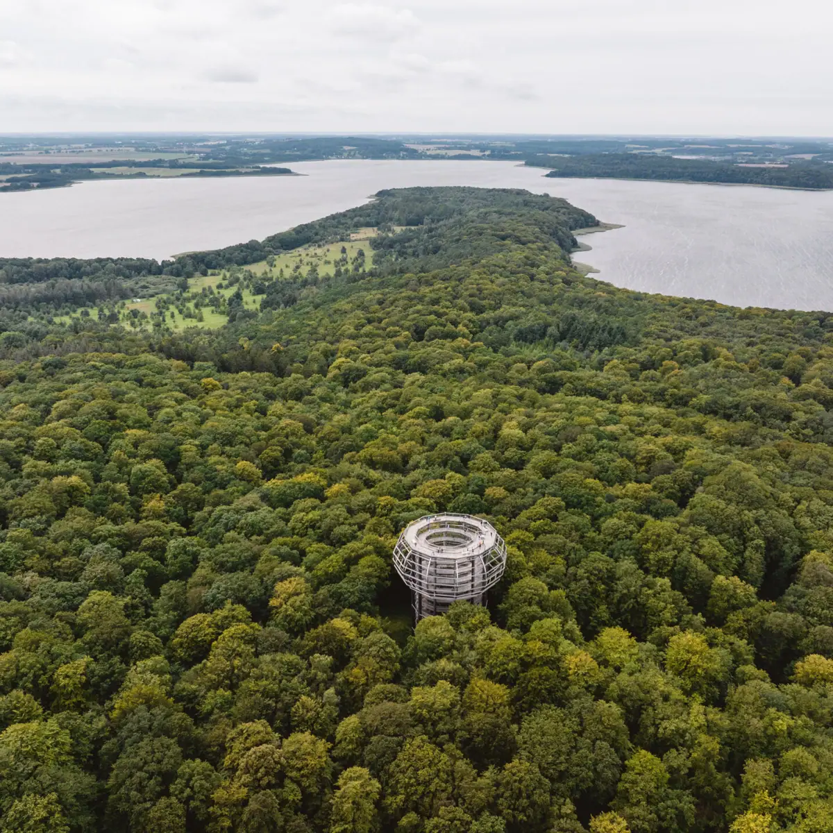 Grote ronde structuur in een bos.