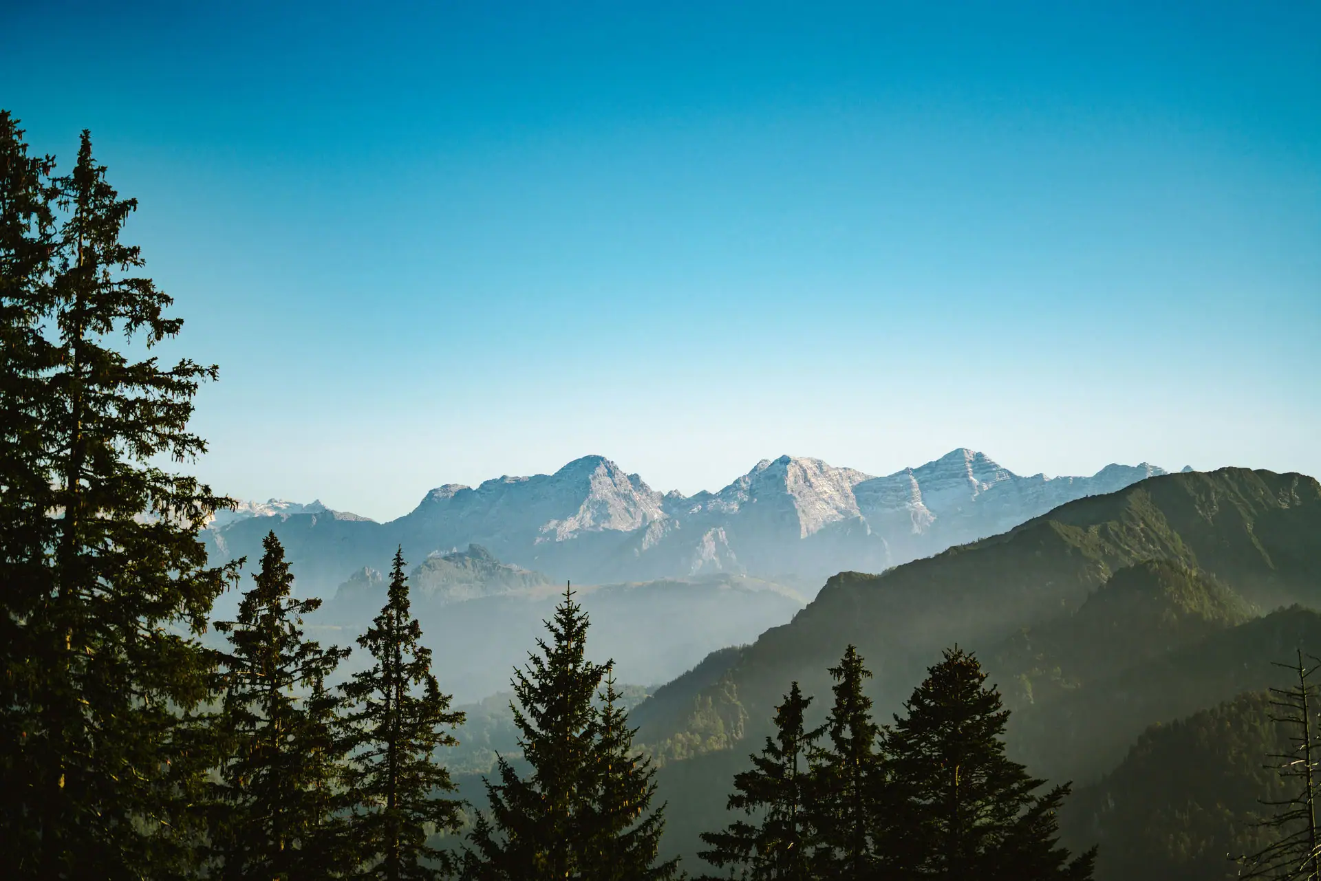 Bergpanorama Bergketen met bomen.