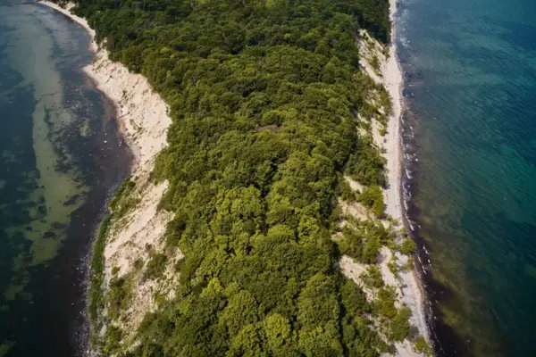 Luchtfoto van een strand met bomen op de voorgrond.
