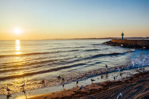 Travemünde Strand Eine Gruppe von Vögeln am Strand bei Sonnenuntergang.