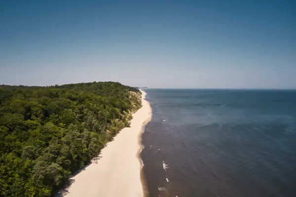 Strand Strand met bomen en water op de voorgrond.